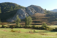 Cantabrian Mts.