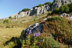 Cantabrian Mts.