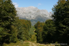 Cantabrian Mts.