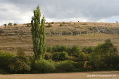 Cantabrian Mts.