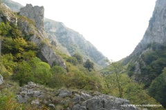 Cantabrian Mts., Ponga