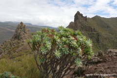 Mirador Cherfe