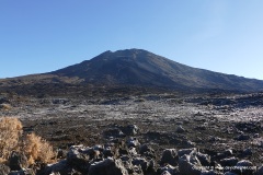 Pico Viejo
