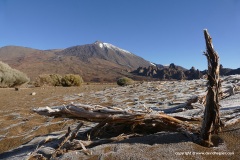 Pico del Teide