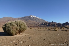 Pico del Teide