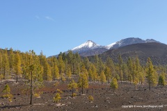 Pico del Teide