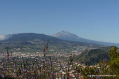Pico del Teide