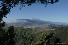 Pico del Teide