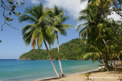 Englishman's Bay