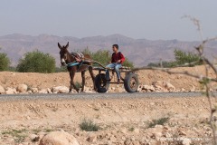 Near Bou Hedma N.P.