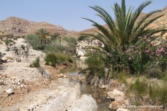 S of Bou Hedma