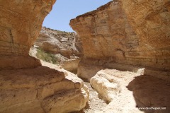 Tamerza