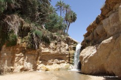 Tamerza