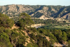 El Feidja