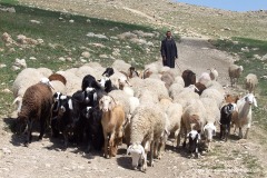 Near algerian borders