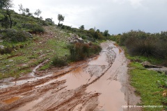 Dalaman