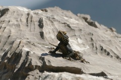 Dalaman