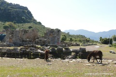 Kaunos