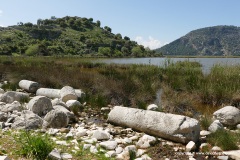 Kaunos