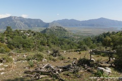 Kaunos