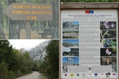 Termessos