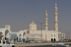 Al Dhaid