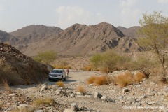 Wadi Shawka