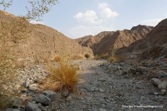 Wadi Shawka