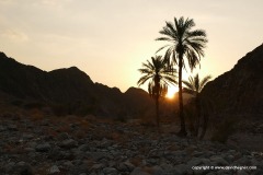 Wadi Shawka