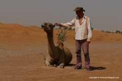 With a camel