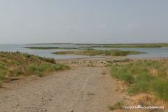 Lake Aydarkul