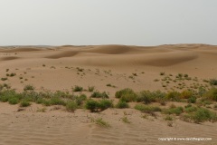 Aydakur