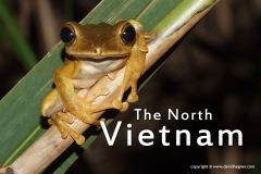 Vietnam 2012