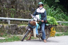 Tam Dao