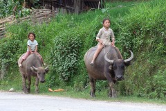 Near Sa Pa