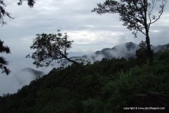 Tam Dao Mts.