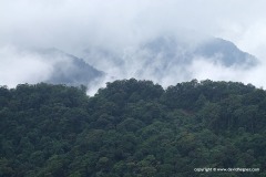 Tam Dao Mts.