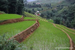 Near Sa Pa